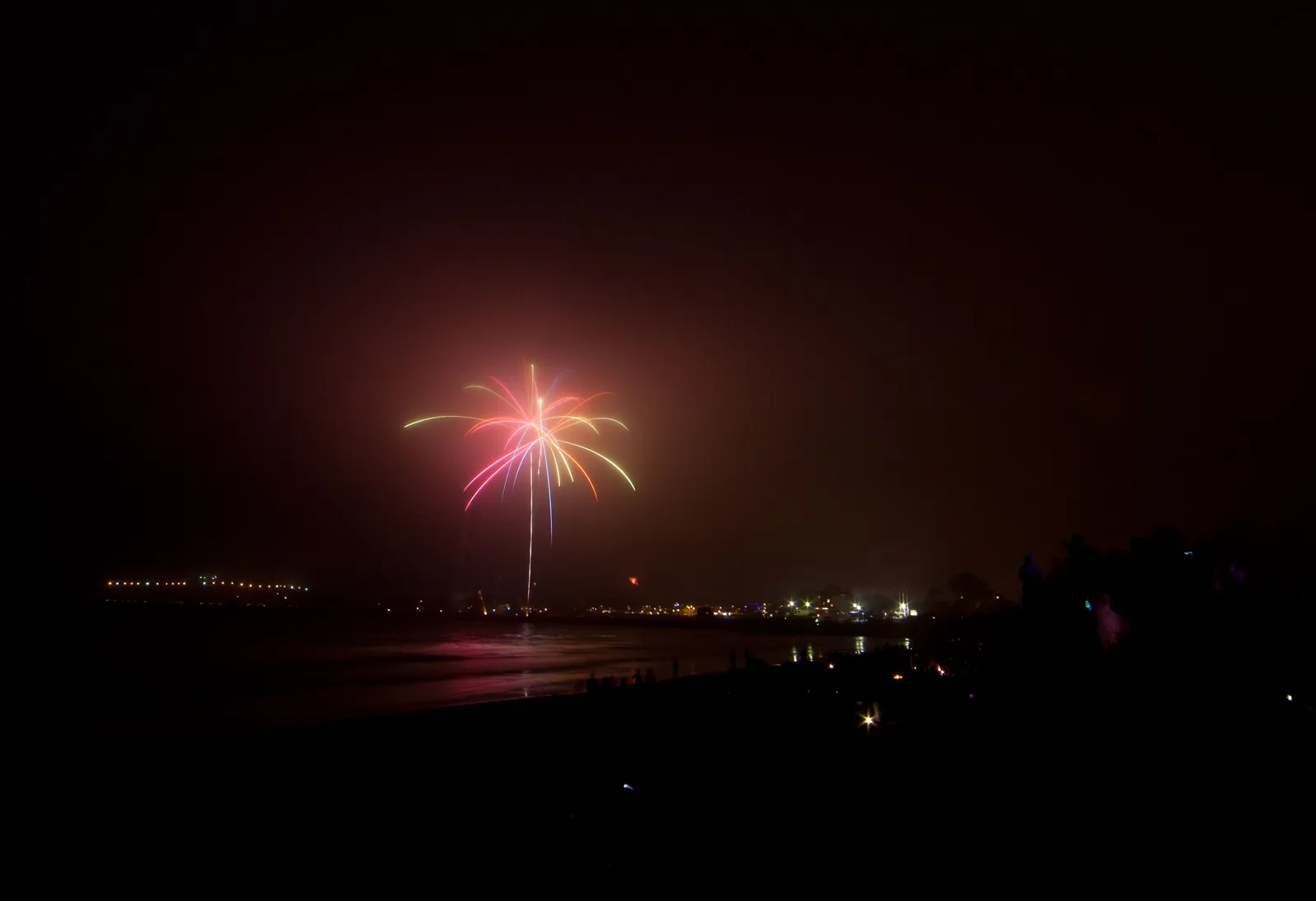 Fireworks bursting in the night sky